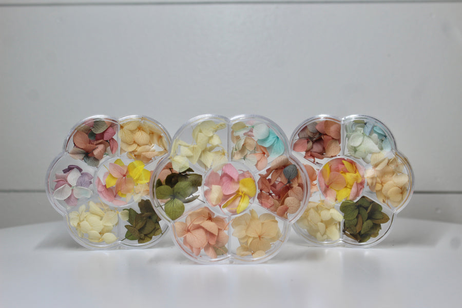 Dried Flower Petals Nail Decorations